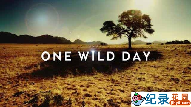 PTS自然生态纪录片《野外的一天 One Wild Day》全3集