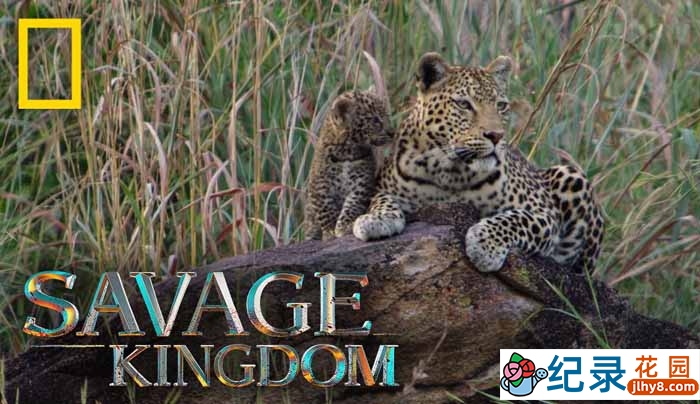 国家地理自然生态纪录片《野蛮王国 Savage Kingdom》第2季