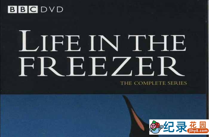 BBC南极自然生态纪录片《冰雪的童话 Life In the Freezer》全6集