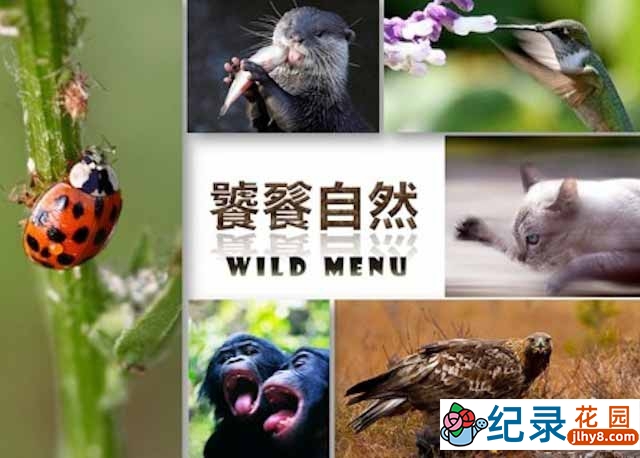 自然生物纪录片《饕餮自然 Wild Menu》第1季