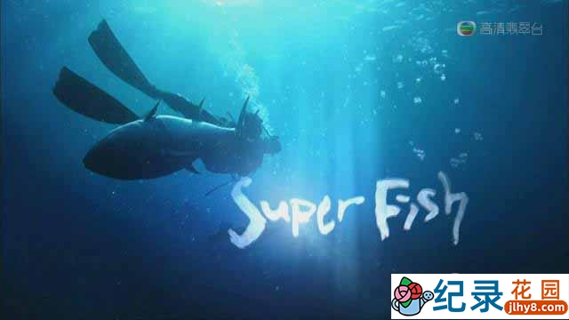 KBS美食文化纪录片《大鱼奇谭 Superfish》全4集 720P/1080i高清纪录片百度云下载插图