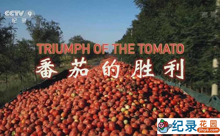 CCTV央视生活美食纪录片《番茄的胜利 Triumph of the Tomato》全1集 720P/1080i高清纪录片资源百度云盘下载插图