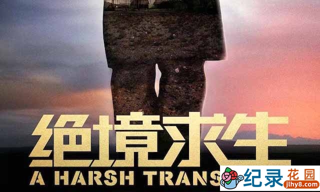 中国企业发展现状纪录片《绝境求生 A Harsh Transition》全1集