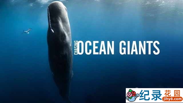 探索频道海洋生物纪录片《追踪海洋巨兽 Chasing Ocean Giants》全8集中字 1080P高清纪录片资源百度云盘下载插图