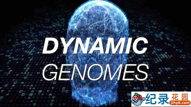 NHK遗传信息纪录片《动态基因组 Dynamic Genomes》第1季中字 720P/1080i高清纪录片资源百度云盘下载插图