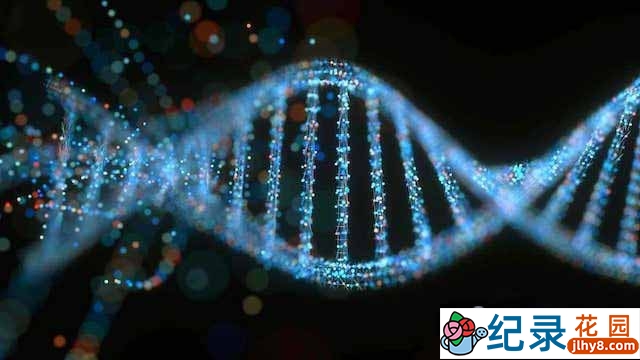 NHK基因研究纪录片《人体DNA时代 Human Body III DNA Age》全6集 标清纪录片资源百度云盘下载插图