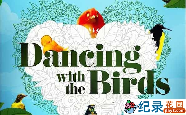 Netflix极乐鸟研究纪录片《与雀共舞 Dancing with the Birds》全1集 720P/1080i高清纪录片资源百度云盘下载插图