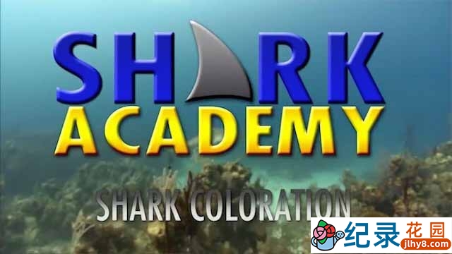 鲨鱼纪录片《鲨鱼学院 Shark Academy》全7集 720P/1080i高清纪录片资源百度云盘下载插图