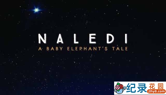 Netflix野生大象纪录片《纳勒迪：一只小象的故事 Naledi: A Baby Elephant’s Tale》全1集 720P/1080i高清纪录片资源百度云盘下载插图