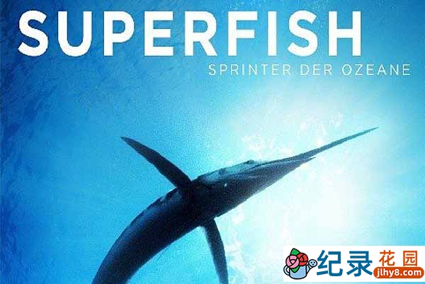 PBS海洋生态纪录片《超级鱼类 Superfish》全1集 720P/1080i高清纪录片资源百度云盘下载插图