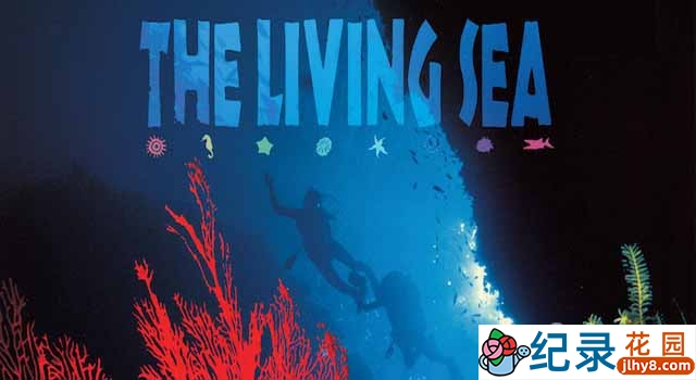 IMAX海洋生态纪录片《生命海洋 The Living Sea》全1集 720P/1080i高清纪录片资源百度云盘下载插图