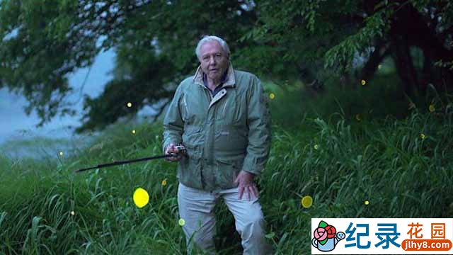 BBC生命探索纪录片《爱登堡讲述生命之光 Attenborough’s Life That Glows》全1集 720P/1080i高清纪录片百度云下载插图