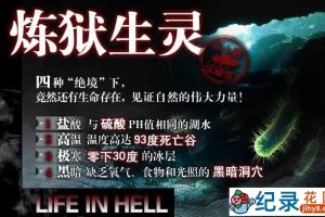 生物纪录片《地狱中的生命 炼狱生灵 Life In Hell》全4集 720P/1080i高清纪录片百度云下载