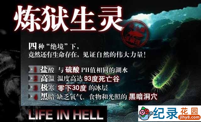 生物纪录片《地狱中的生命 炼狱生灵 Life In Hell》全4集 720P/1080i高清纪录片百度云下载插图