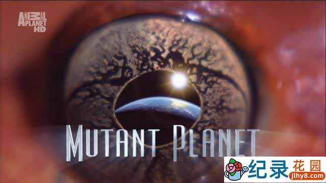 探索频道生命探索纪录片《变异星球 Mutant Planet》全6集 720P/1080i高清纪录片百度云下载插图