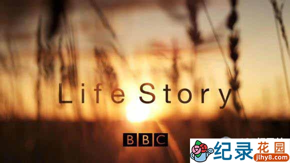 BBC生命探索纪录片《生命的故事/生命礼赞 Life Story》全6集 720P/1080i高清纪录片百度云下载插图