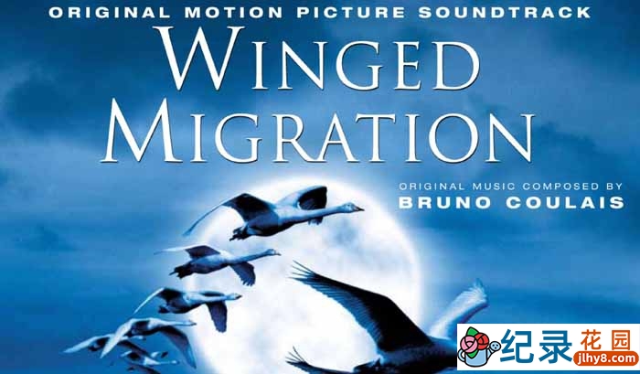 生命探索纪录片《天地人三部曲：迁徙的鸟 Winged Migration》全1集 720P/1080i高清纪录片百度云下载插图