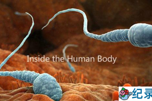 BBC生命科学纪录片《人体奥秘 Inside the Human Body》全4集 720P/1080i高清纪录片百度云