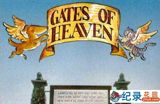 宠物公墓纪录片《天堂之门 Gates of Heaven》全1集 标清纪录片资源百度云盘下载插图