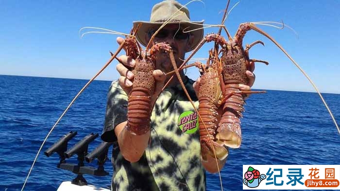 探索频道捕捞纪录片《恶海捕龙虾 Lobstermen》全5集