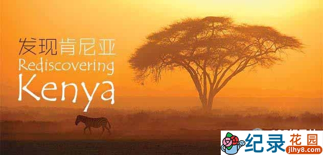 CCTV央视人文考古纪录片《发现肯尼亚 Rediscovering Kenya》全3集 720P/1080i高清纪录片百度云插图