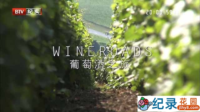 国家地理红酒鉴赏纪录片《葡萄酒之旅 Wineroads》全6集 720P/1080i高清纪录片资源百度云盘下载插图