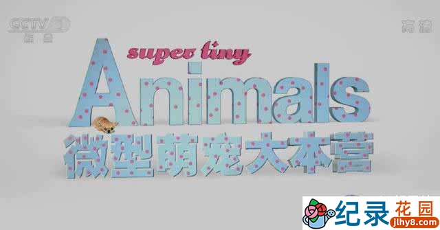 萌宠纪录片《微型萌宠大本营 Super Tiny Animals》全3集 720P/1080i高清纪录片百度云下载插图