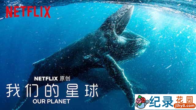 Netflix自然生态纪录片《我们的星球 Our Planet》全8集