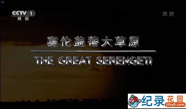 央视自然生态纪录片《塞伦盖蒂大草原 The Great Serengeti》全1集