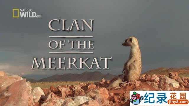 国家地理自然生态纪录片《狐獴家族 Clan Of The Meerkat》全1集