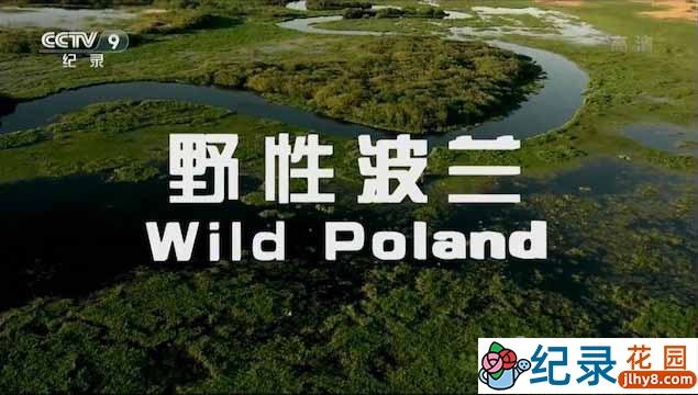 央视自然生态纪录片《野性波兰 Wild Poland》全1集