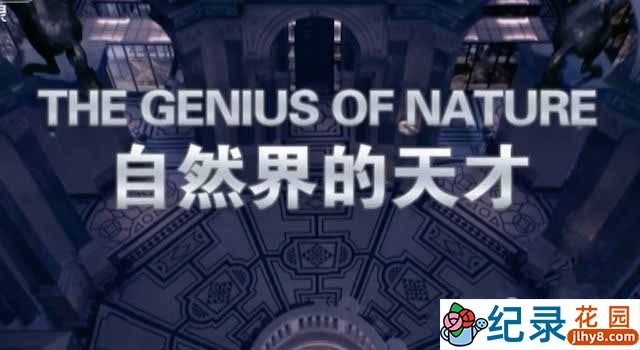 CCTV央视仿生学纪录片《自然界的天才 The Genius Of Nature》全3集