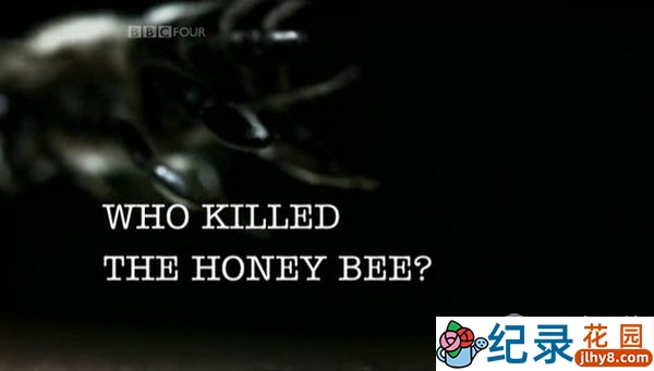 BBC自然生态纪录片《谁杀死了蜜蜂 Who Killed The Honey Bee》全1集