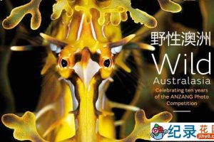 BBC自然生态纪录片《野性澳洲 Wild Australasia 2003》全6集 标清纪录片资源百度云盘下载