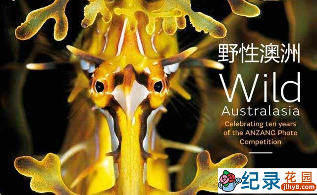 BBC自然生态纪录片《野性澳洲 Wild Australasia 2003》全6集