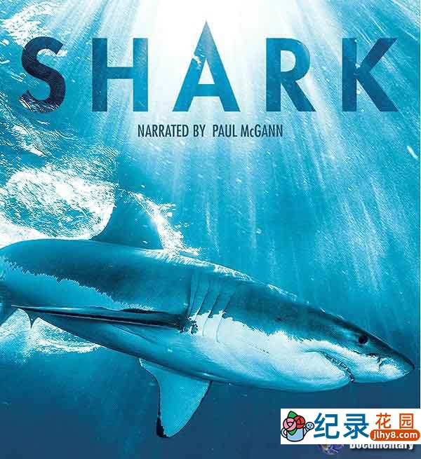 BBC自然生物纪录片《碧海狂鲨 SHARK》全3集 720P/1080i高清纪录片百度云插图