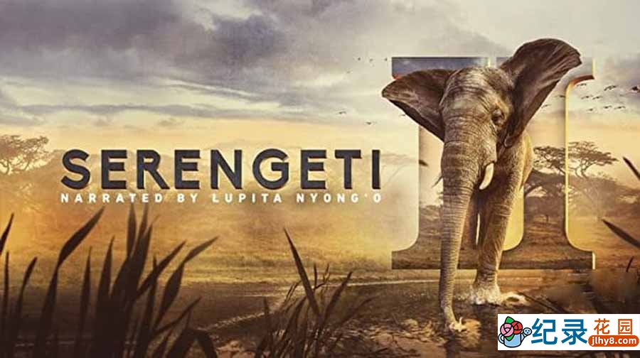 BBC自然生态纪录片《塞伦盖蒂 Serengeti》第2季