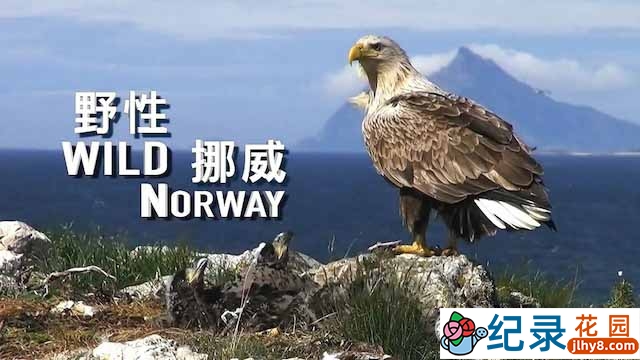 央视自然生态纪录片《野性挪威 Wild Norway》全1集