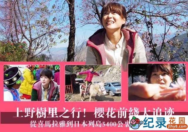 NHK樱花起源纪录片《樱花前线大追迹》全1集中字 720P/1080i高清纪录片资源百度云盘下载插图