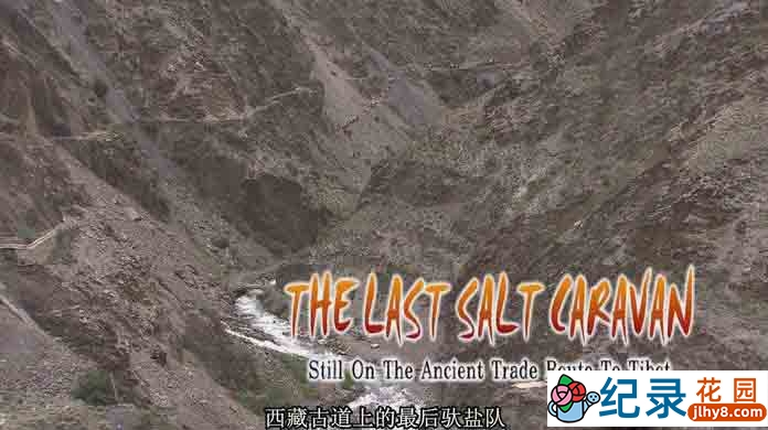 茶马古道纪录片《最后的盐道 The Last Salt Caravan》全1集 标清纪录片资源百度云盘下载插图