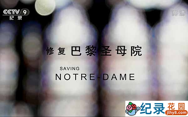 央视建筑工程纪录片《修复巴黎圣母院 Saving Notre Dame》全1集