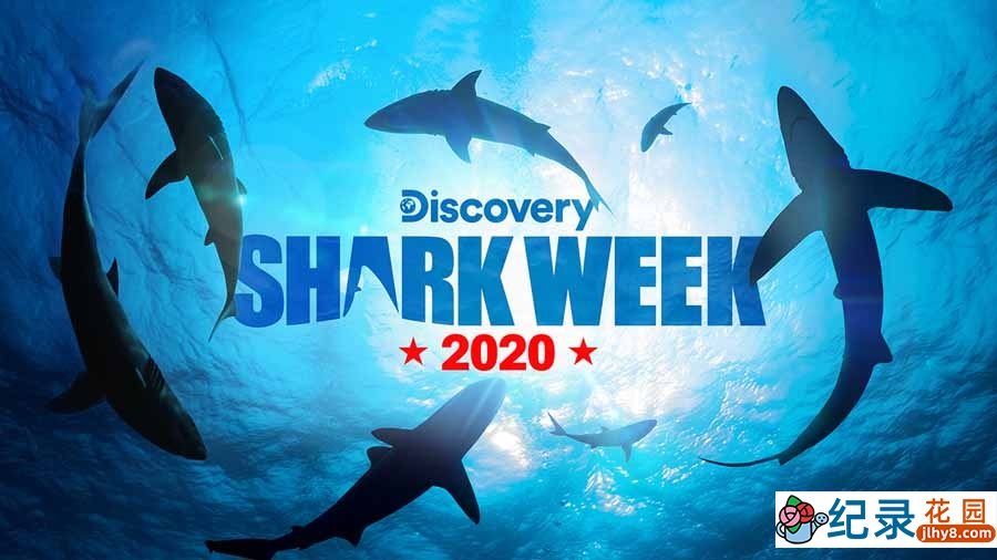 探索频道鲨鱼研究纪录片《鲨鱼周 2020 Shark Week》全28集