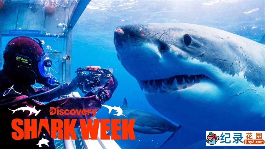 探索频道鲨鱼研究纪录片《鲨鱼周 2016 Shark Week》全17集