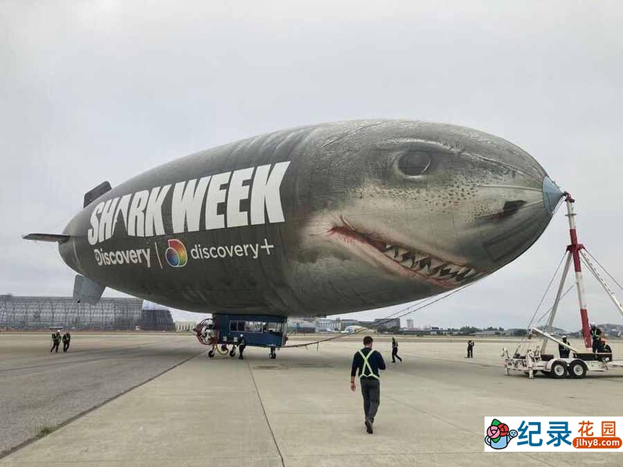 探索频道鲨鱼研究纪录片《鲨鱼周 2012 Shark Week》全9集