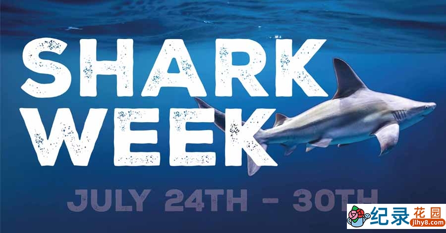 探索频道鲨鱼研究纪录片《鲨鱼周 2011 Shark Week》全7集