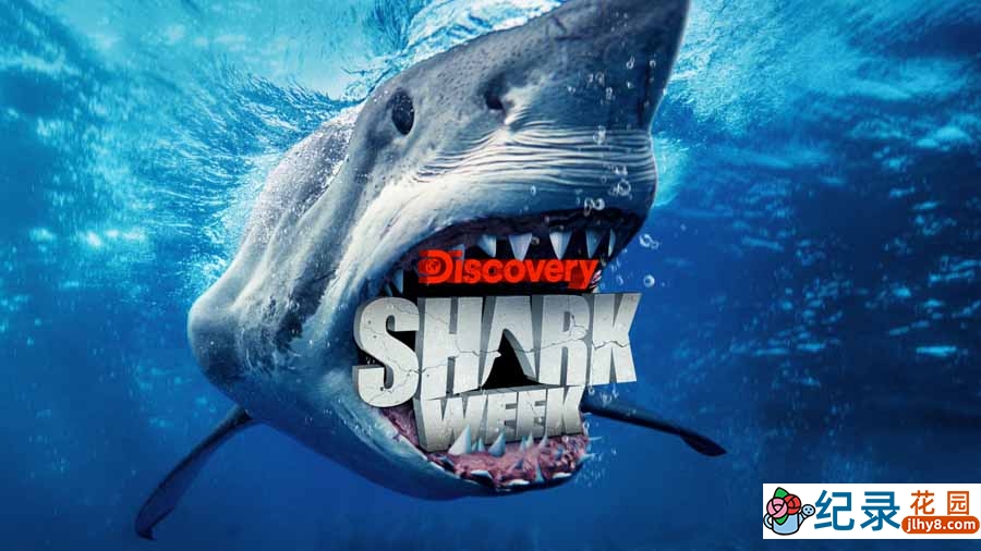 探索频道鲨鱼研究纪录片《鲨鱼周 2009 Shark Week》全1集