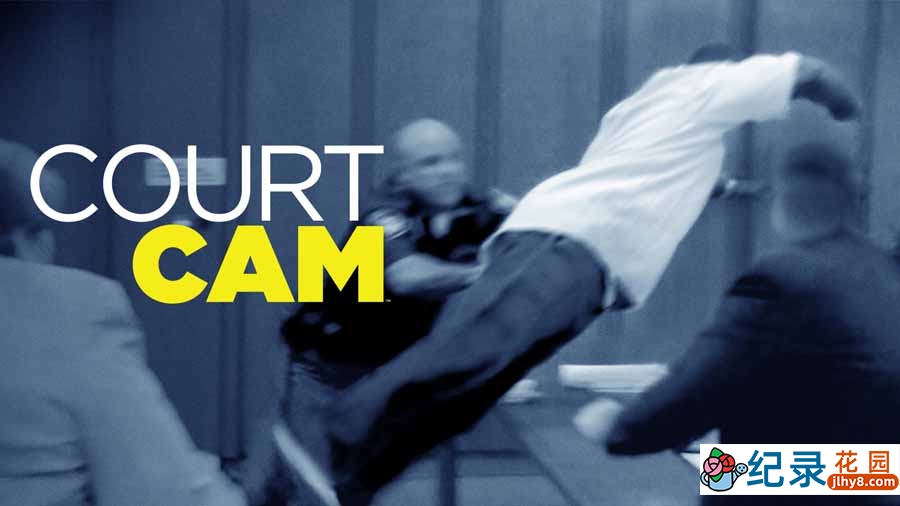 庭审纪实纪录片《法庭镜头实录 court cam》第1季