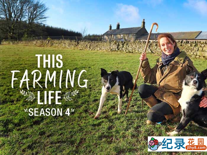 BBC传统农场经营纪录片《农耕生活 This Farming Life》第4季