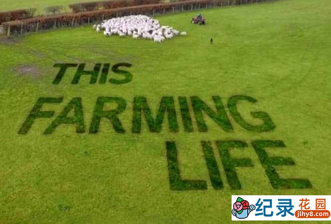 BBC传统农场经营纪录片《农耕生活 This Farming Life》第1季