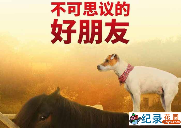 国家地理跨物种友谊纪录片《不可思议的好朋友 Unlikely Animal Friends》全3季